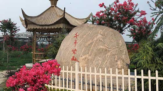 泰山花样年华景区15304