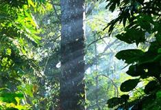 石家庄植物园：森果丛林俱乐部