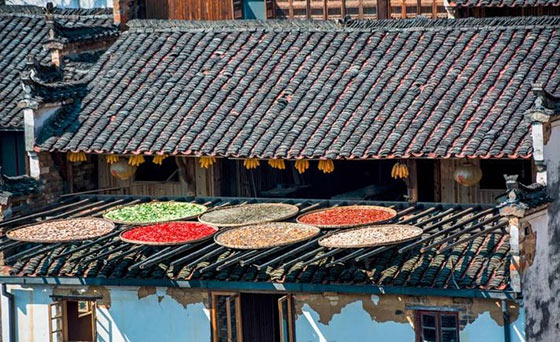 婺源江岭景区15586