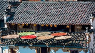 婺源江岭：外岭