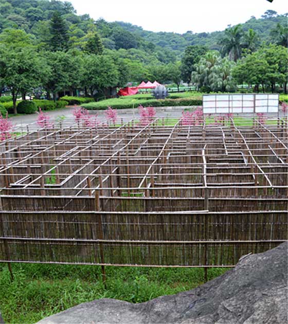 李小龙乐园15405