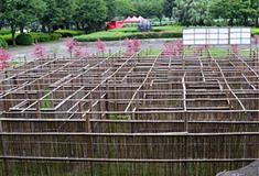 李小龙乐园：桃花大阵