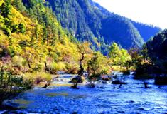 九寨沟风景区：盆景滩