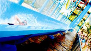 加勒比海水世界：垂直滑道