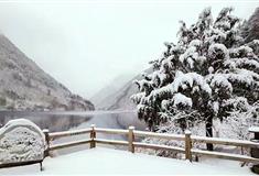 九寨沟风景区：熊猫海