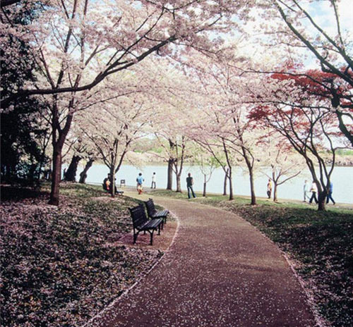 石家庄植物园15574