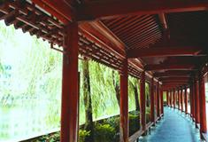 袁崇焕纪念园柳影长廊有什么好看的