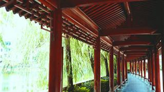 袁崇焕纪念园柳影长廊有什么好看的