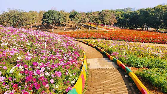梦幻百花洲介绍及游玩景点推荐