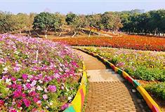 梦幻百花洲介绍及游玩景点推荐