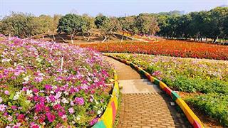 梦幻百花洲介绍及游玩景点推荐