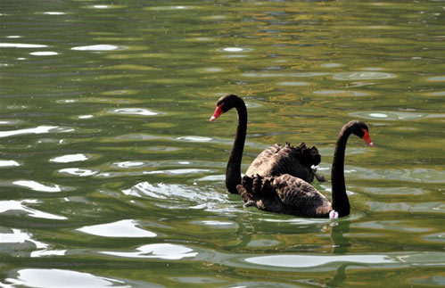 徐家汇公园15787