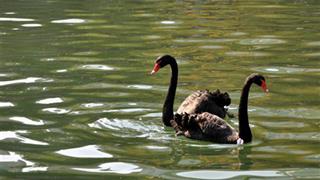 徐家汇公园:汇金湖 徐家汇公园:汇金湖