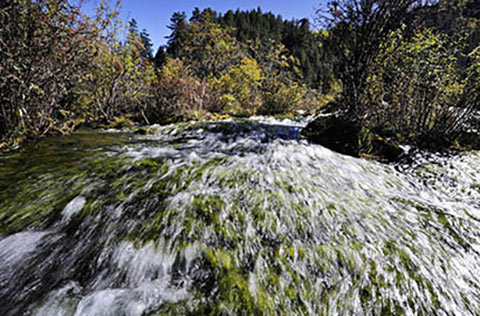 九寨沟风景区15452