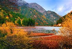 九寨沟风景区：天鹅海