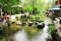 黄龙溪古镇：真龙街