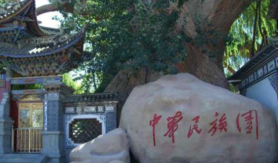 中华民族博物园蝴蝶泉