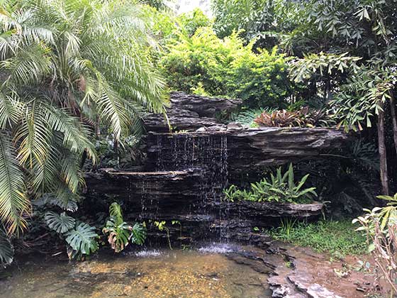 广州天河公园南门