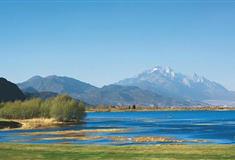 拉市海湿地公园：柳林长廊