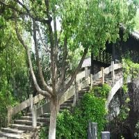 广州街香港街景区17851