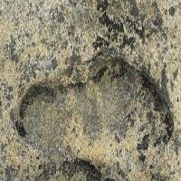 广州笑翻天乐园17628