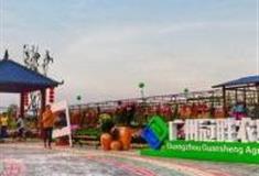 广州冠胜农业公园怎么玩？附游玩路线