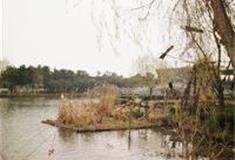 苏州江南农耕文化园：土地利用区（葑田）