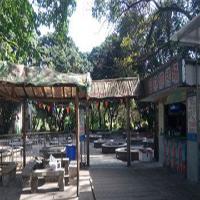 中国科学院华南植物园18776