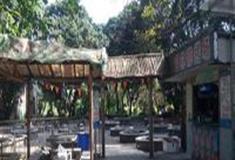 中国科学院华南植物园：华南植物园烧烤场