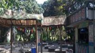 中国科学院华南植物园：华南植物园烧烤场