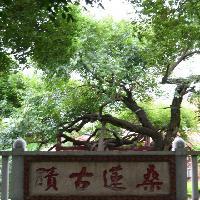 泉州大开元寺10123