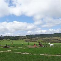 仙女山旅游度假区18978