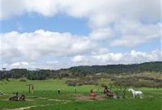 仙女山旅游度假区：大草原