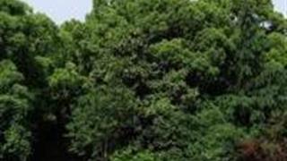 九江浔阳江头文化景区怎么玩？附游玩路线