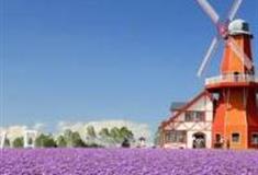 银川艾伊薰衣草庄园怎么玩？附游玩路线