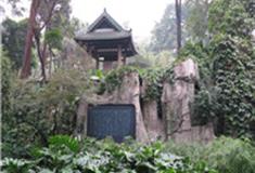 广州兰圃怎么玩？附游玩路线