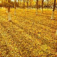 北京奥林匹克公园10268