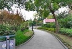 上海兰溪青年公园怎么玩？附游玩路线