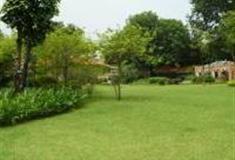 广州草暖公园怎么玩？附游玩路线