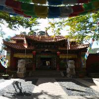 拉市海湿地公园19322