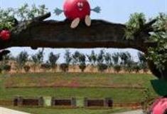 东莞创艺生态园怎么玩？附游玩路线