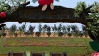 东莞创艺生态园怎么玩？附游玩路线