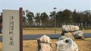 苏州太仓江滩湿地公园怎么玩？附游玩路线