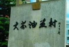 深圳大芬油画村怎么玩？附游玩路线