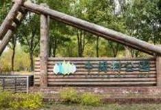 北京中关村森林公园怎么玩？附游玩路线