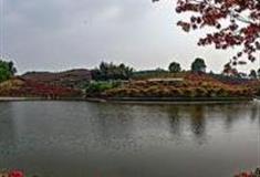 重庆南湖多彩植物园怎么玩？附游玩路线