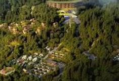 巴中光雾山森林康养营地怎么玩？附游玩路线