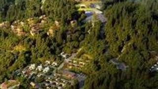 巴中光雾山森林康养营地怎么玩？附游玩路线