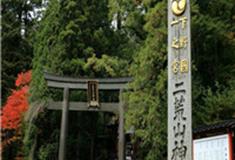 丽水白云森林公园怎么玩？附游玩路线