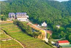 大连蓝莓谷庄园怎么玩？附游玩路线